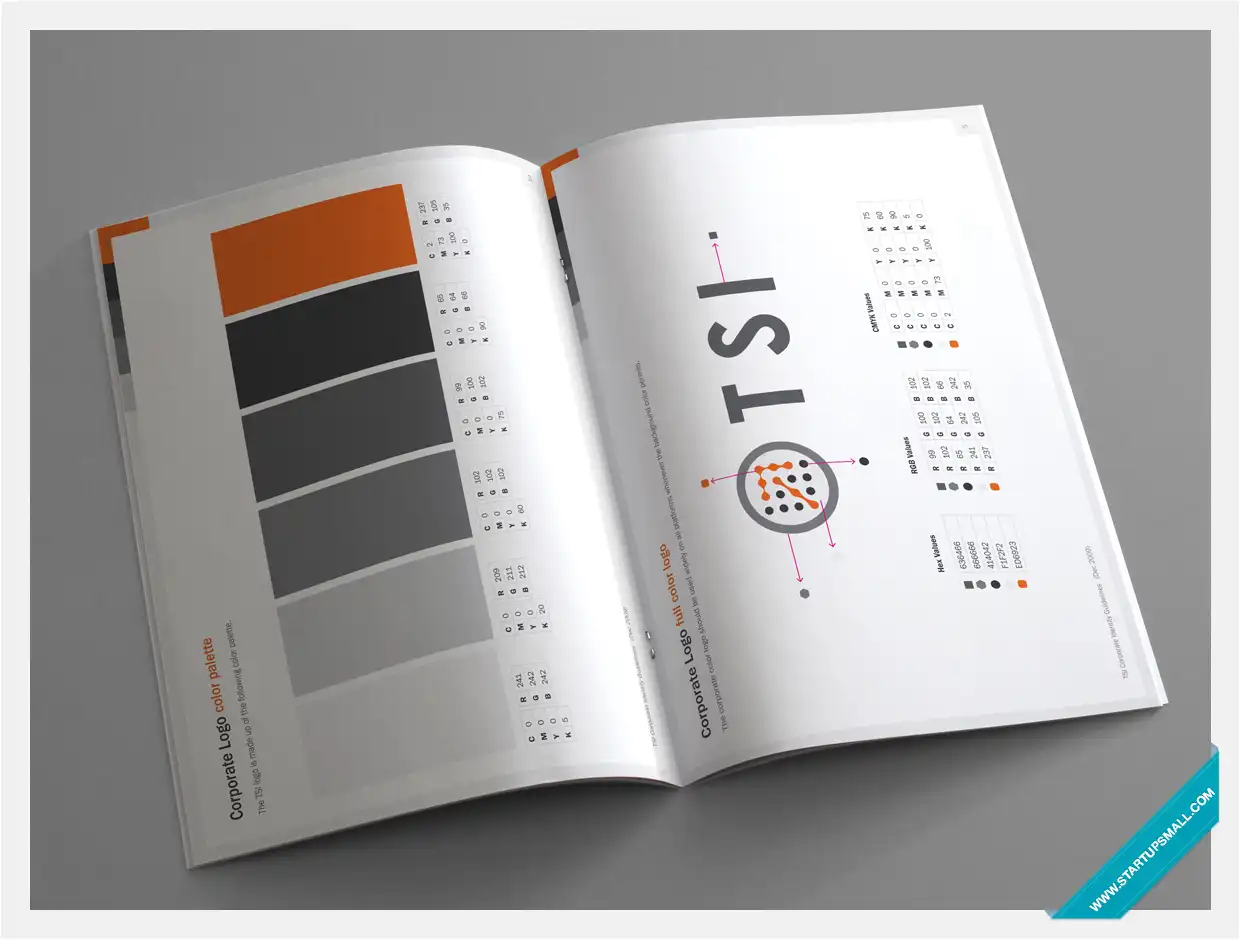 TSI Visual Identity Design