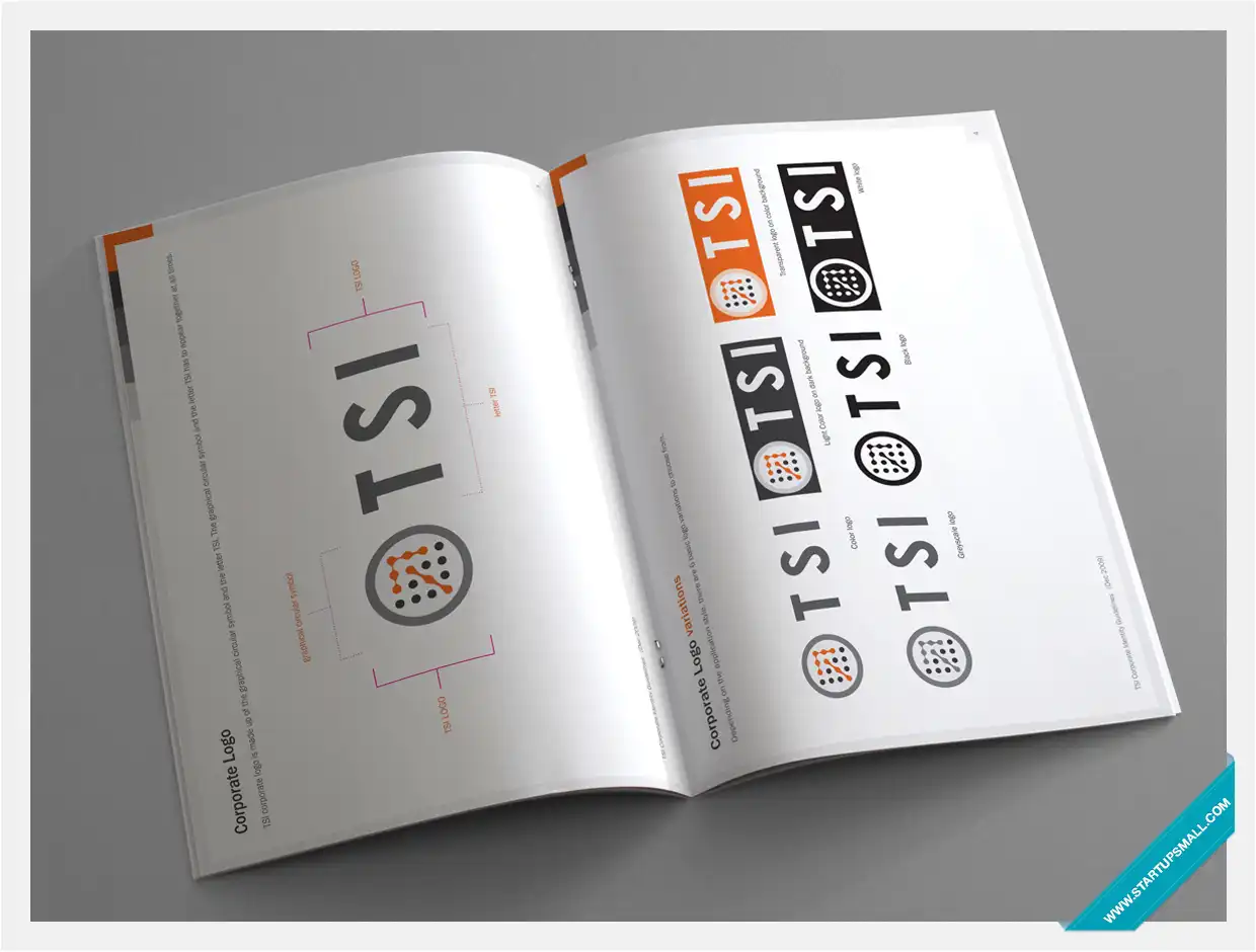 TSI Visual Identity Design