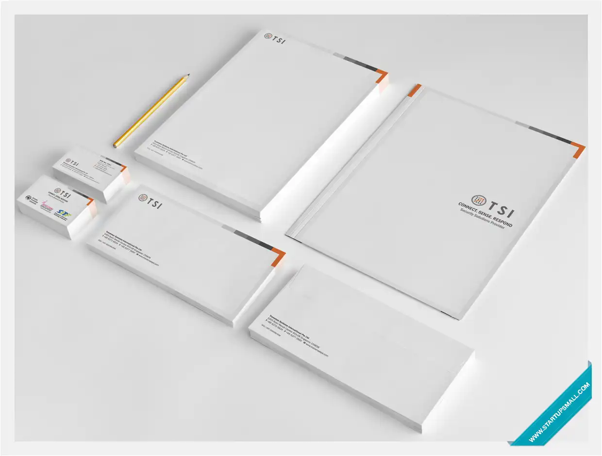 TSI Business Visual Identity Design