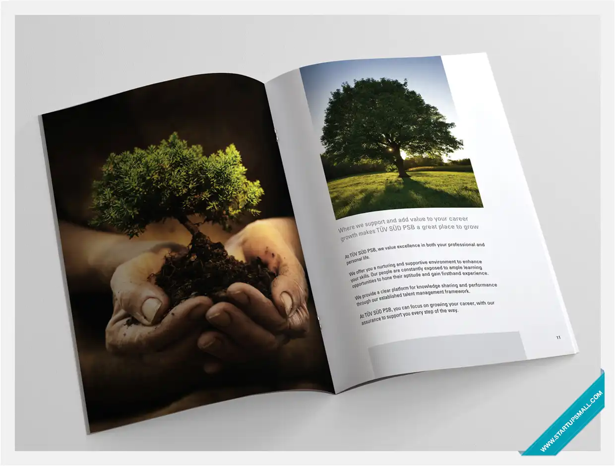 Tuv Sud Brochure Design